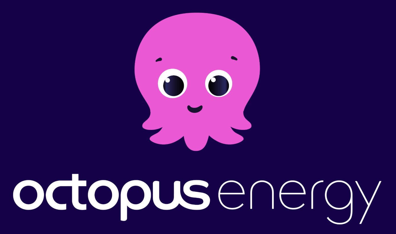 BM Electricals Octopus Energy